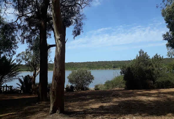 Sidi Boughaba - photo 2